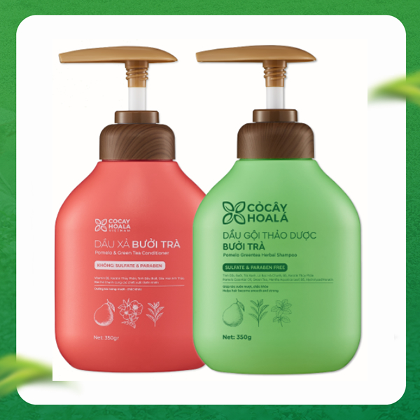 Chăm Sóc Tóc Hà Thủ Ô Cỏ Cây Hoa Lá