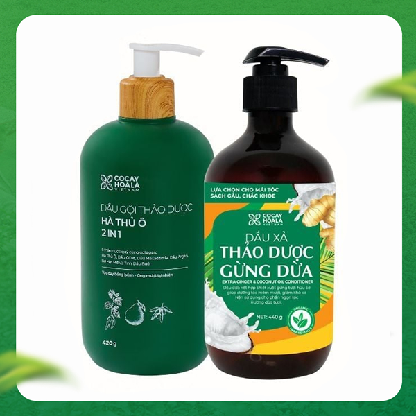 Chăm Sóc Tóc Hà Thủ Ô Cỏ Cây Hoa Lá