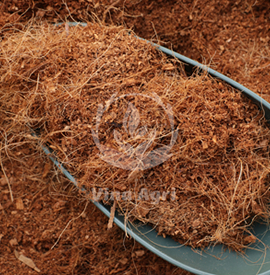 Đất Sạch Tribat Trồng Cây Giàu Dinh Dưỡng
