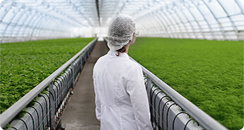 Agricultural Processing